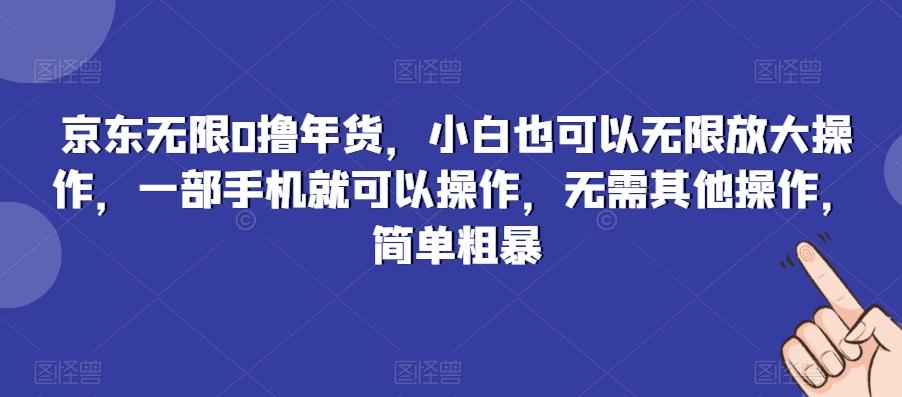 京东无限0撸年货，小白也可以无限放大操作，一部手机就可以操作，无需其他操作，简单粗暴-91创业项目库