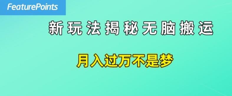 简单操作，每天50美元收入，搬运就是赚钱的秘诀【揭秘】-91创业项目库