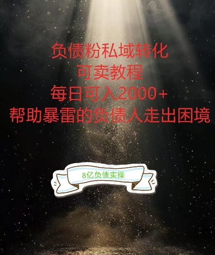 负债粉掘金计划，帮助负债者解决问题，债务规划，债务重组，最好的变现方式【揭秘】-91创业项目库