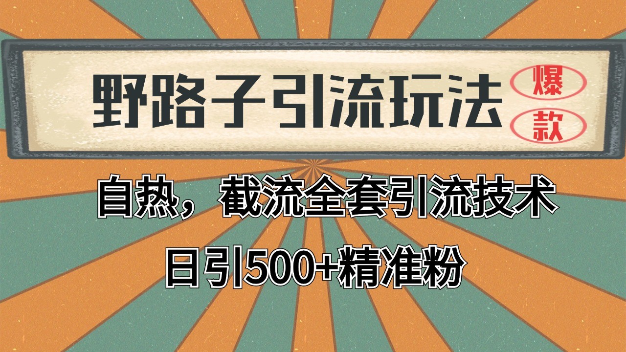 抖音小红书视频号全平台引流打法，全自动引流日引2000+精准客户-91创业项目库