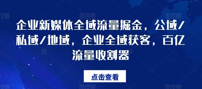 企业新媒体全域流量掘金，公域/私域/地域，企业全域获客，百亿流量收割器-91创业项目库