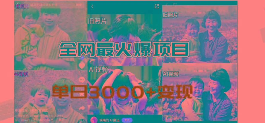 全网爆火的AI让老照片动起来教程，蹭热点日赚3000+，内含免费工具一键…-91创业项目库