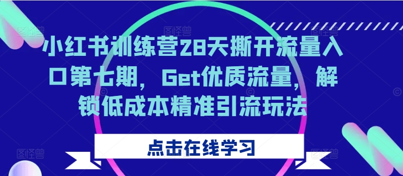 小红书训练营28天撕开流量入口第七期，Get优质流量，解锁低成本精准引流玩法-91创业项目库