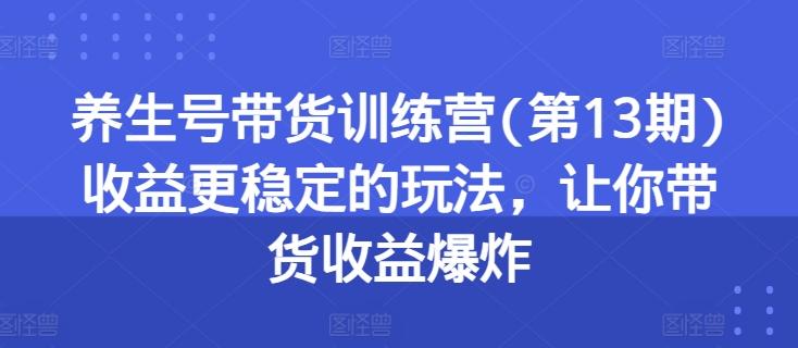 养生号带货训练营(第13期)收益更稳定的玩法，让你带货收益爆炸-91创业项目库