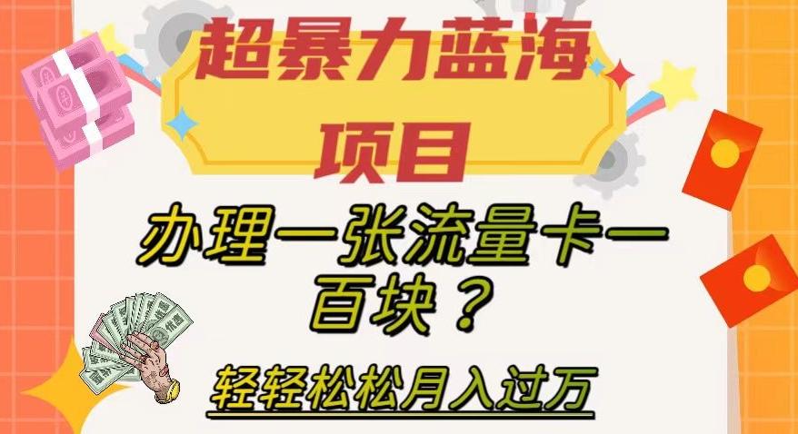 超暴力蓝海项目，办理一张流量卡一百块？轻轻松松月入过万，保姆级教程【揭秘】-91创业项目库