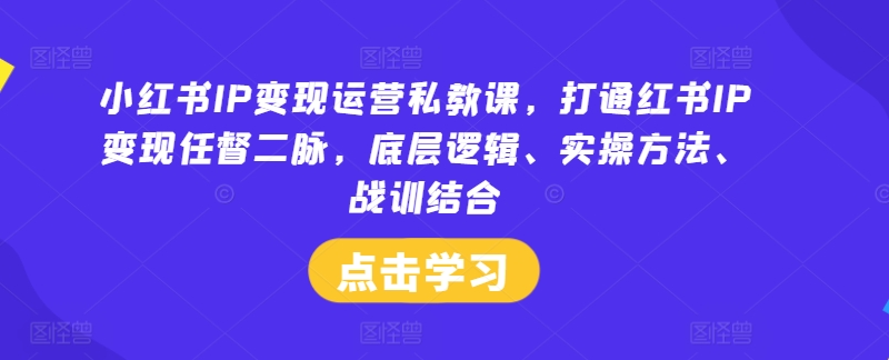 小红书IP变现运营私教课，打通红书IP变现任督二脉，底层逻辑、实操方法、战训结合-91创业项目库