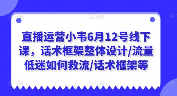 直播运营小韦6月12号线下课，话术框架整体设计/流量低迷如何救流/话术框架等-91创业项目库
