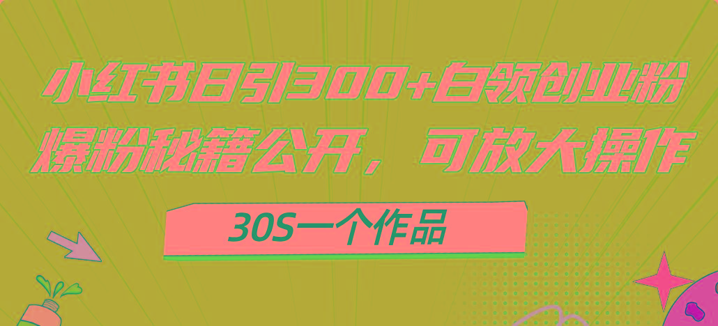 小红书日引300+高质白领创业粉，可放大操作，爆粉秘籍！30s一个作品-91创业项目库