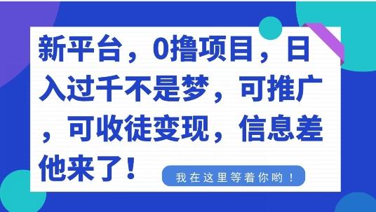 不要再花冤枉钱了，0撸项目，每天坚持，稳定1000+-91创业项目库