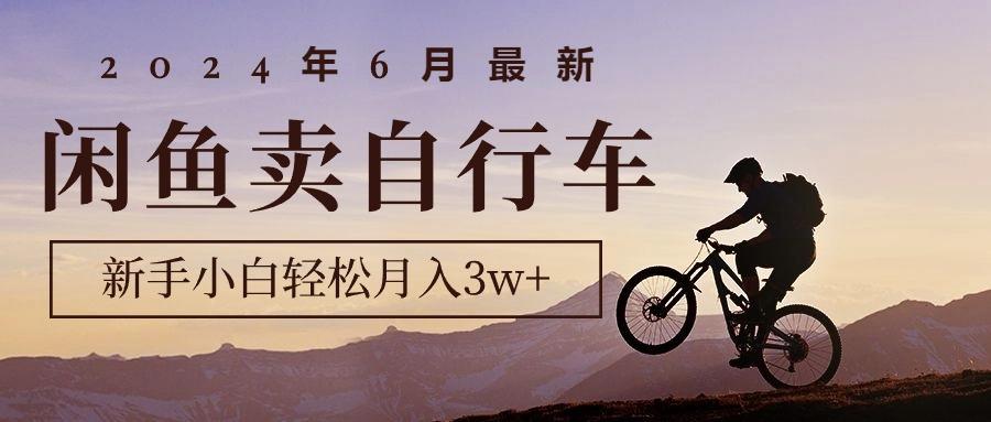2024年6月最新闲鱼卖自行车，新手小白轻松月入3w+项目-91创业项目库