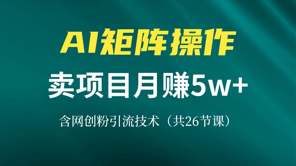 网创IP打造课，借助AI卖项目月赚5万+，含引流技术(共26节课-91创业项目库