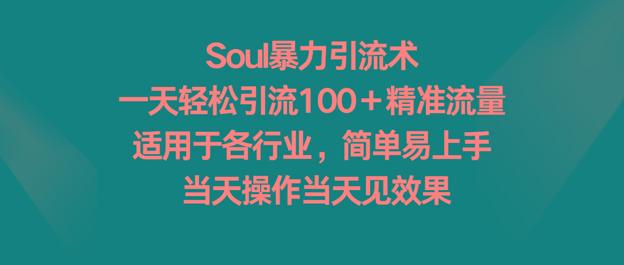 Soul暴力引流术，一天轻松引流100＋精准流量，适用于各行业，简单易上手！-91创业项目库
