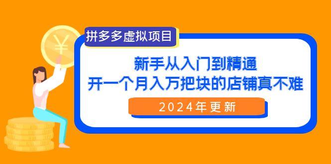 (9744期)拼多多虚拟项目：入门到精通，开一个月入万把块的店铺 真不难(24年更新)-91创业项目库