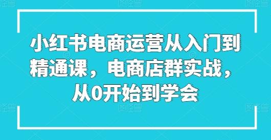小红书电商运营从入门到精通课，电商店群实战，从0开始到学会-91创业项目库