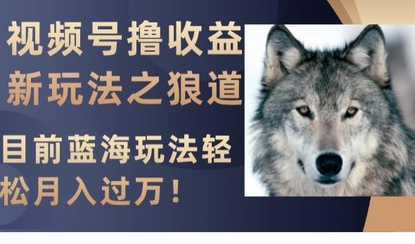 视频号撸收益新玩法之狼道，目前蓝海玩法，轻松月入过万【揭秘】-91创业项目库