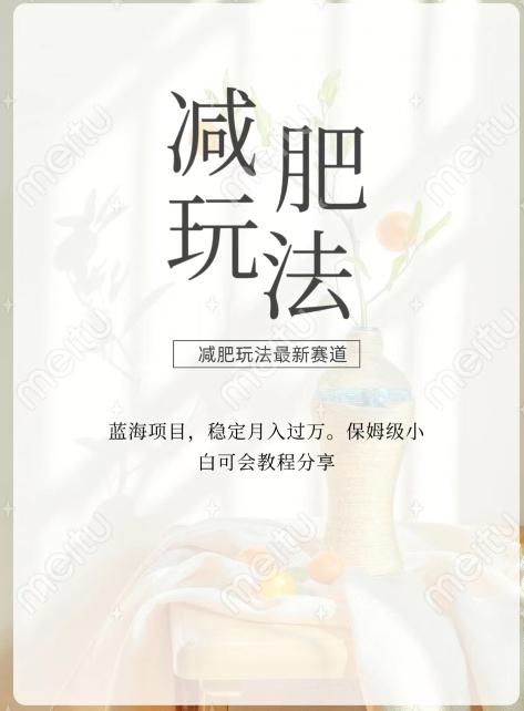 减肥流量主新玩法，轻松月入1W，可矩阵操作收入翻倍-91创业项目库