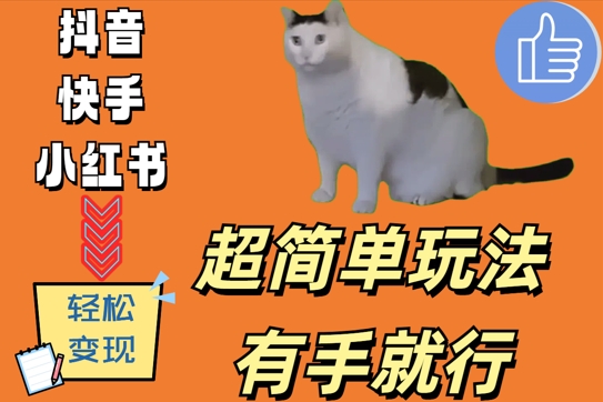 超简单玩法，有手就行，靠猫咪视频日入500+【揭秘】-91创业项目库