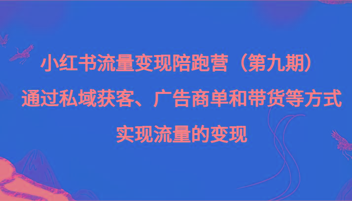 小红书流量变现陪跑营（第九期）通过私域获客、广告商单和带货等方式实现流量变现-91创业项目库