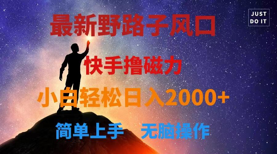 最新风口！快手撸磁力，野路子，小白无脑操作日入2000+-91创业项目库