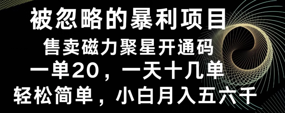 被忽略的暴利项目！售卖磁力聚星开通码，一单20，一天十几单，轻松月入五六千-91创业项目库