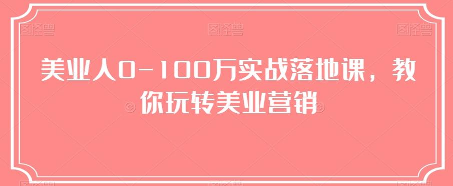 美业人0-100万实战落地课，教你玩转美业营销-91创业项目库