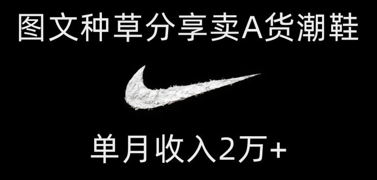 靠图文种草分享卖A货潮鞋，每天一小时，单月收入2万+【揭秘】-91创业项目库