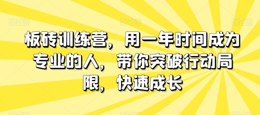 板砖训练营，用一年时间成为专业的人，带你突破行动局限，快速成长-91创业项目库