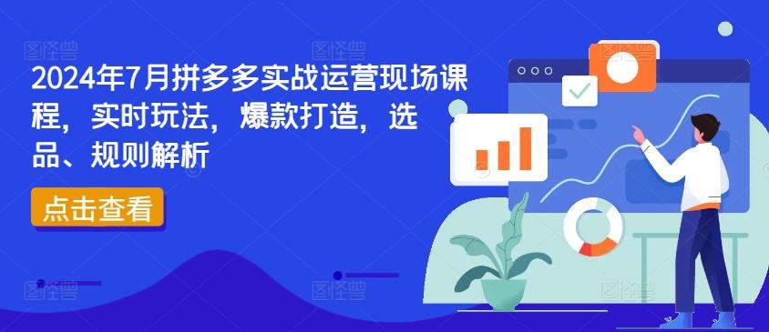 2024年7月拼多多实战运营现场课程，实时玩法，爆款打造，选品、规则解析-91创业项目库