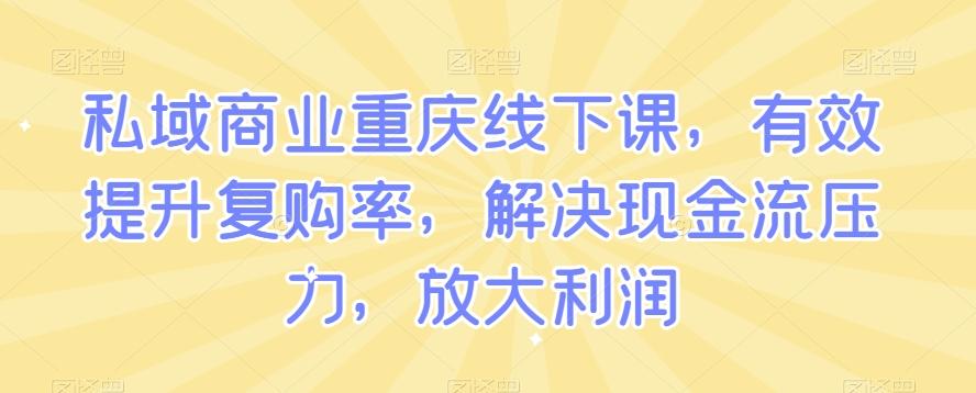 私域商业重庆线下课，有效提升复购率，解决现金流压力，放大利润-91创业项目库