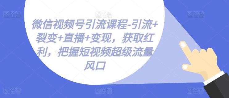 微信视频号引流课程-引流+裂变+直播+变现，获取红利，把握短视频超级流量风口-91创业项目库