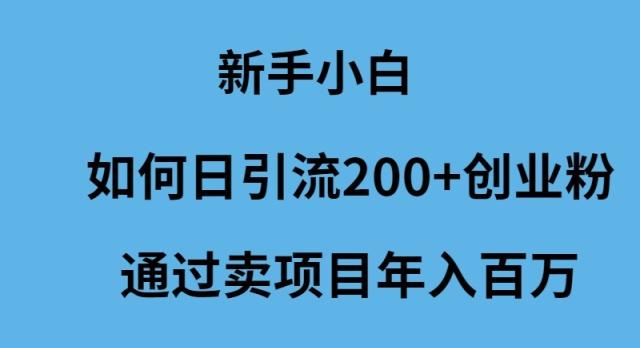 (9668期)新手小白如何日引流200+创业粉通过卖项目年入百万-91创业项目库