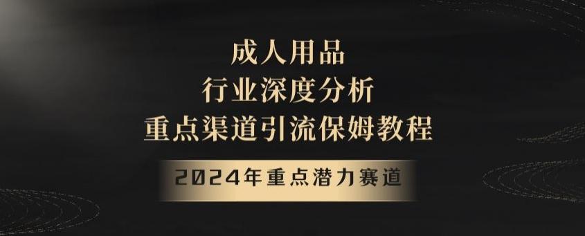 2024年重点潜力赛道，成人用品行业深度分析，重点渠道引流保姆教程【揭秘】-91创业项目库