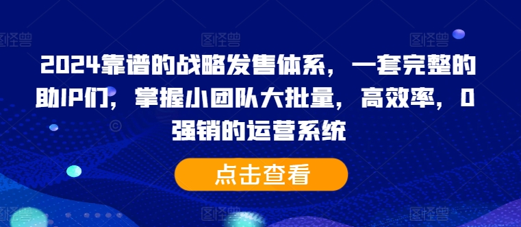 2024靠谱的战略发售体系，一套完整的助IP们，掌握小团队大批量，高效率，0 强销的运营系统-91创业项目库