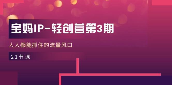 宝妈IP-轻创营第3期，人人都能抓住的流量风口(21节课-91创业项目库