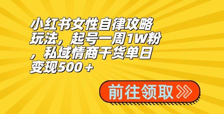 小红书女性自律攻略玩法，起号一周1W粉，私域情商干货单日变现500＋-91创业项目库