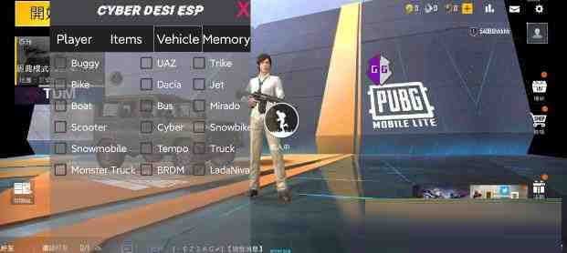 PUBG轻量老外裸奔绘制+自瞄 支持ROOT和框架 里面有全局离线-91创业项目库