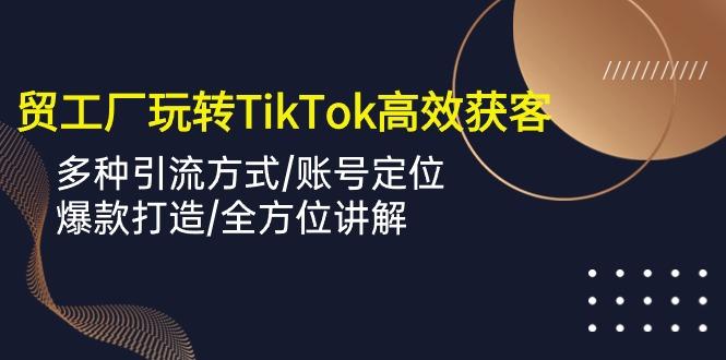 外贸工厂玩转TikTok高效获客，多种引流方式/账号定位/爆款打造/全方位讲解-91创业项目库