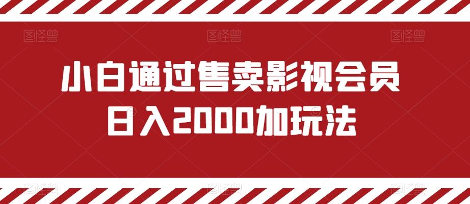 小白通过售卖影视会员日入2000加玩法-91创业项目库