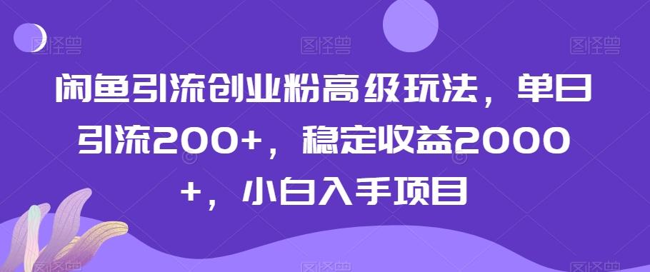 闲鱼引流创业粉高级玩法，单日引流200+，稳定收益2000+，小白入手项目-91创业项目库
