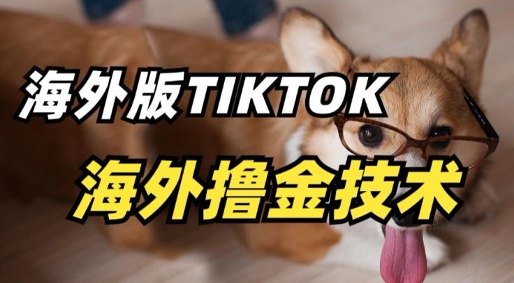 抖音海外版tiktok撸金技术，这个风口行业，赚钱真的不难【揭秘】-91创业项目库