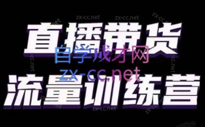 婉婉·直播带货课程系列合集(更新8月)-91创业项目库