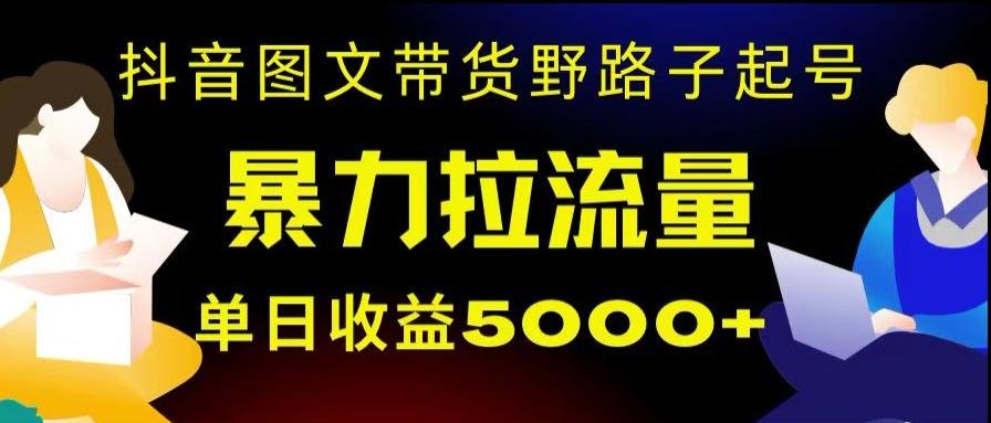 抖音图文带货暴力起号，单日收益5000+，野路子玩法，简单易上手，一部手机即可【揭秘】-91创业项目库