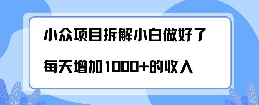 小众项目拆解，小白做好了每天可增加1000多的收入-91创业项目库