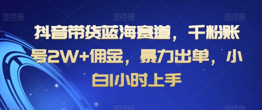 抖音带货蓝海赛道，千粉账号2W+佣金，暴力出单，小白1小时上手【揭秘】-91创业项目库