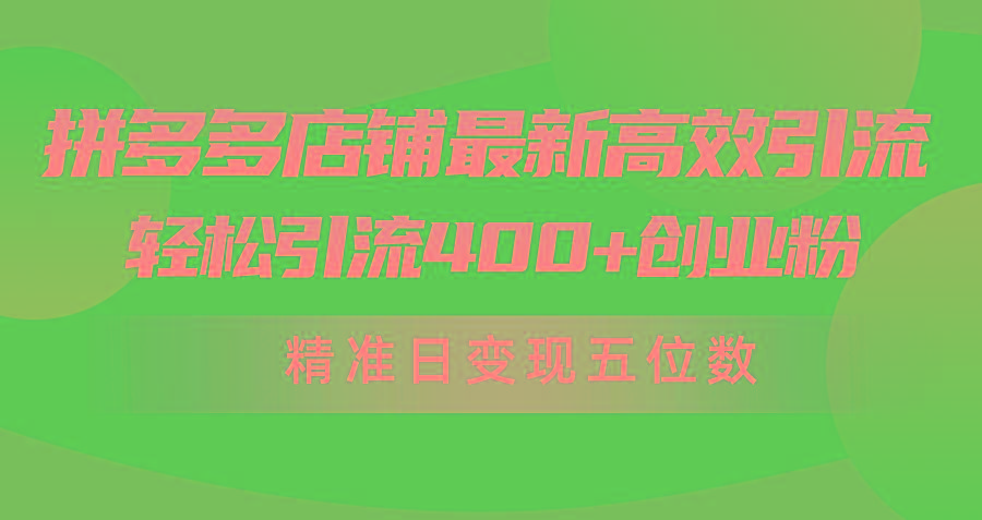 (10041期)拼多多店铺最新高效引流术，轻松引流400+创业粉，精准日变现五位数！-91创业项目库