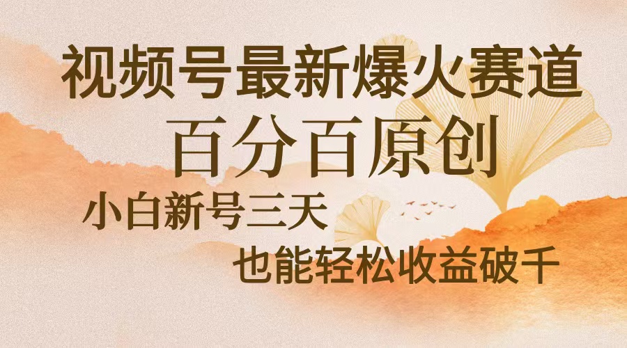 视频号最新爆火赛道，中老年粉深信不疑，百分百原创，新号三天收益轻松…-91创业项目库
