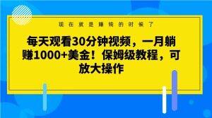 每天观看30分钟视频，一月躺赚1000+美金！保姆级教程，可放大操作【揭秘】-91创业项目库