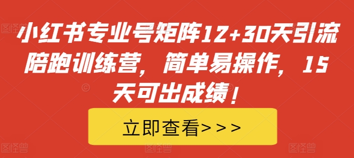 小红书专业号矩阵12+30天引流陪跑训练营，简单易操作，15天可出成绩!-91创业项目库
