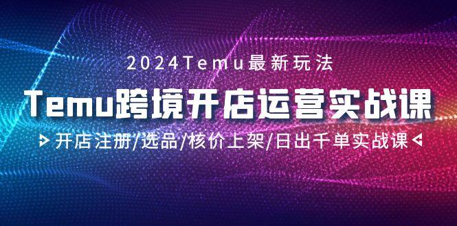 2024Temu跨境开店运营实战课，开店注册/选品/核价上架/日出千单实战课-91创业项目库