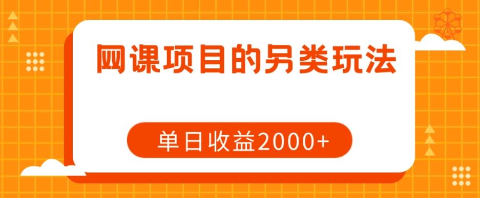 网课项目的另类玩法，单日收益2000+【揭秘】-91创业项目库